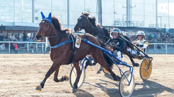 Foto: MIKAEL ROSENQUIST / TR BILD