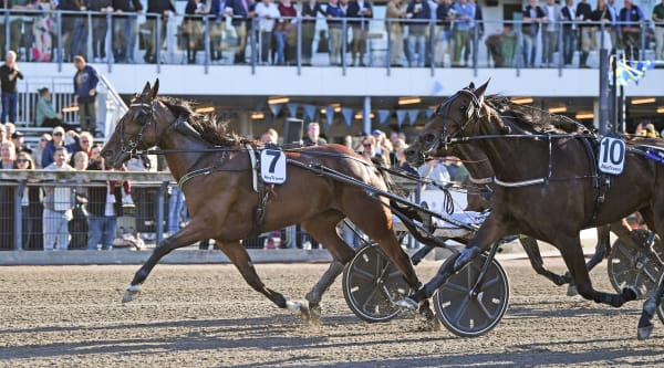 Foto: MALIN ALBINSSON / TR BILD