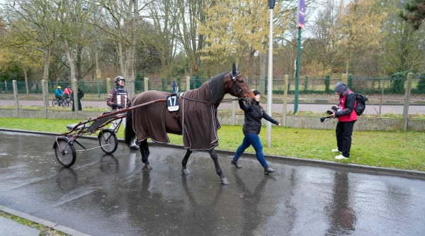 Francesco Zet på Vincennes stallbacke.