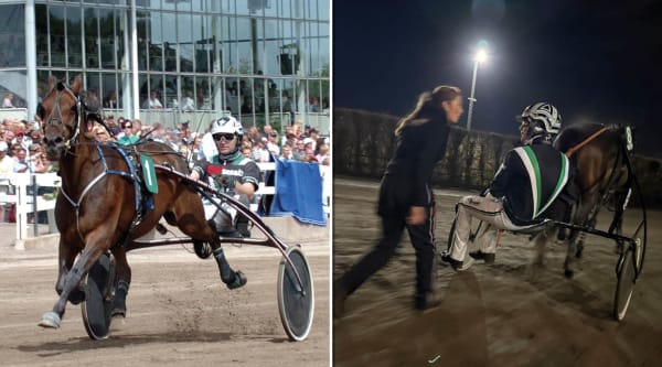 Foto: TR BILD/Rickard Hansson/TR BILD