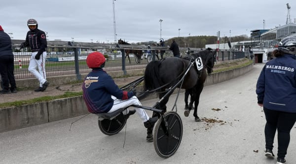 Foto: Rickard Hansson/TR BILD