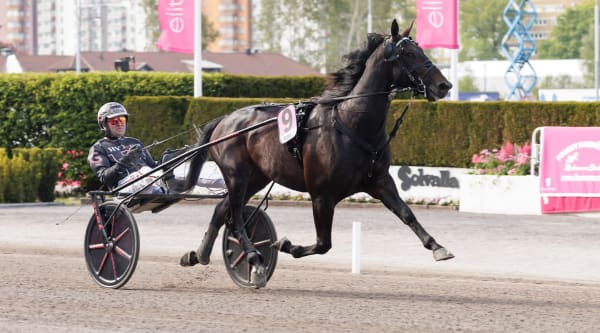 Foto: LENA EMMOTH / TR BILD