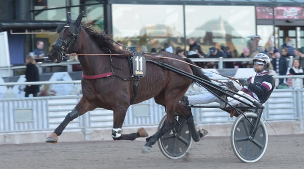 Foto: LARS JAKOBSSON / TR BILD