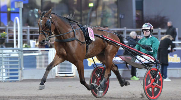 Foto: LARS JAKOBSSON / TR BILD