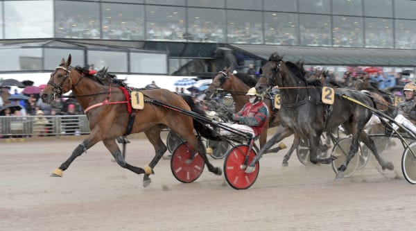 Foto: LARS JAKOBSSON / TR BILD