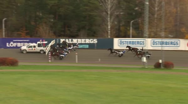 Familjen Arnengs Alberdi Wine vinner