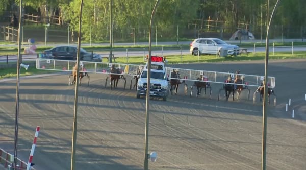 Global Concept vinner i Rättvik