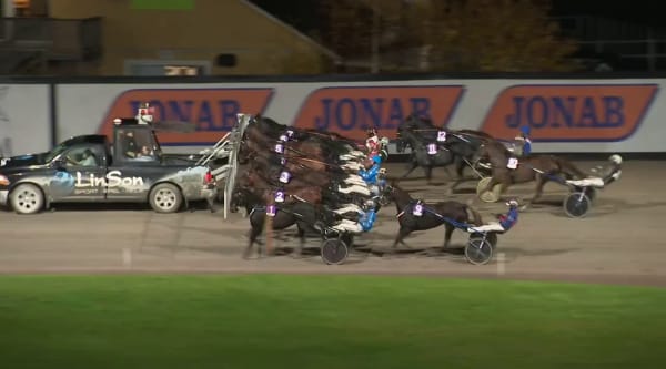 Devs Donator vinner V64-lopp i Halmstad