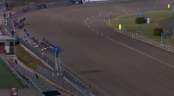 Global Futurity obesegrad